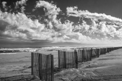 "Beach Fences", Brenda Hill