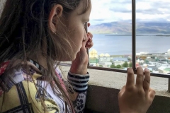 "Looking Over Reykjavik", Larissa Heimlich