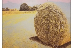 "Haystack Harvest" by Carolyn Gibson ~ Photography ~ $125