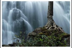 Waterfall Sentinel by Richard Caldwell