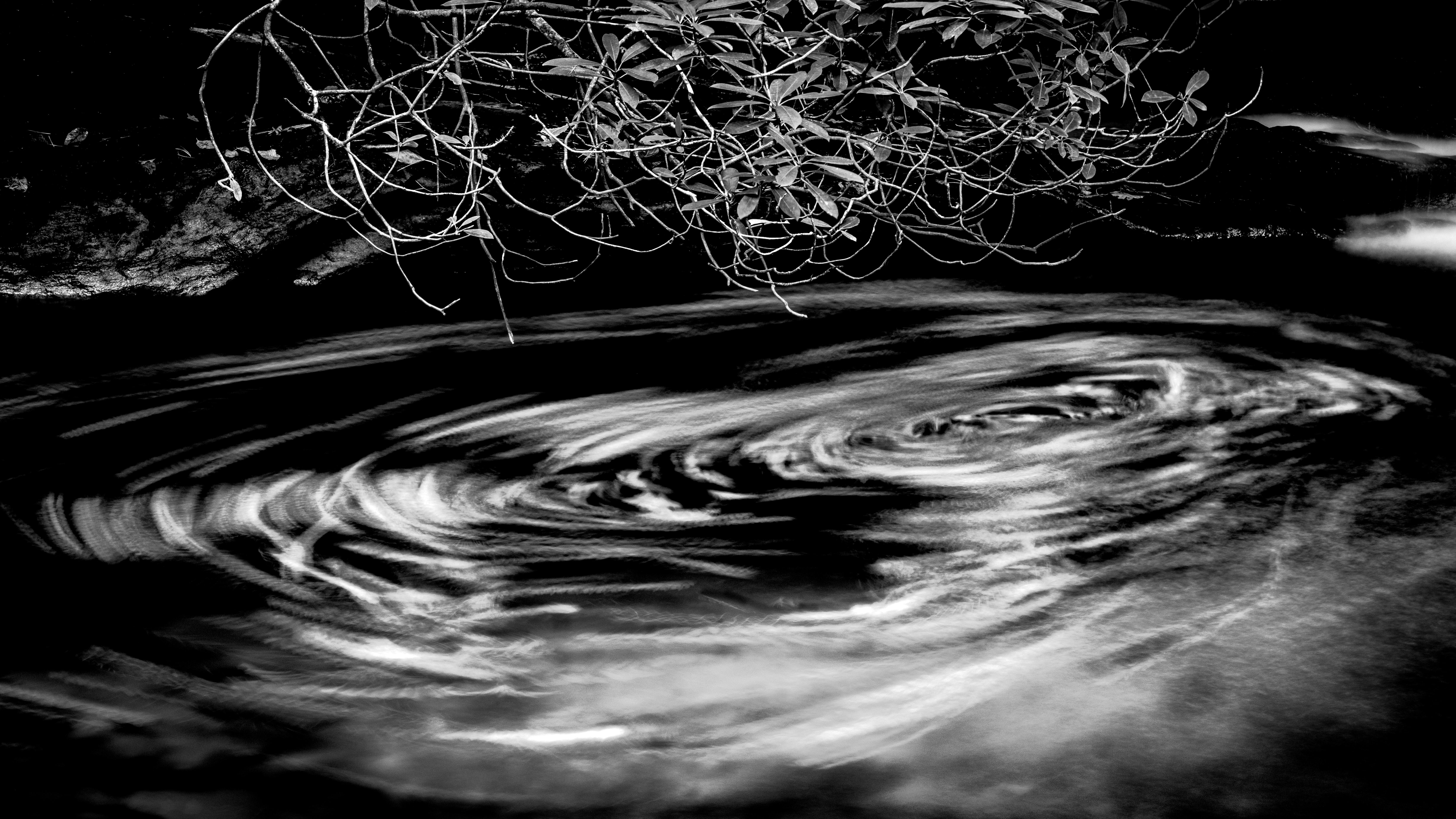 Water's Eye, Linda Hosek