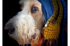 "Girl with the Pearl Earring" by Kate Kirby ~ Photography ~ Not for Sale