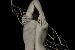 "Fortify" - Jamie Rose
