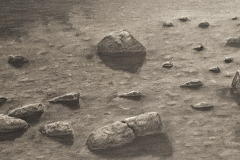 "In the Shallows" Charcoal by Dale Cochran