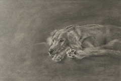 "Watching And Waiting" Charcoal by Dale Cochran