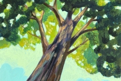 "Canopy View II" - Acrylic by Lisa Shimko - $75