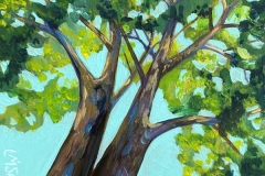 "Canopy View III" - Acrylic by Lisa Shimko - $75