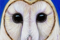 "Dream Gaze - Barn Owl Blue" - Acrylic by Lisa Shimko - $75
