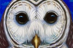 "Dream Gaze - Barred Owl" - Acrylic by Lisa Shimko - $75
