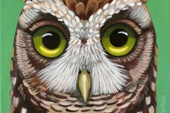 "Dream Gaze - Screech Owl" - Acrylic by Lisa Shimko - $75