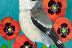 "Loggerhead Shrike Poppies" - Acrylic by Lisa Shimko - $75