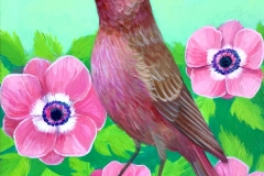 "Rose Finch Flowers" - Acrylic by Lisa Shimko - $100