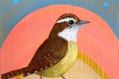 "Sherbet Carolina Wren" - Acrylic by Lisa Shimko - $60