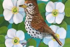 "Wood Thrush King" - Acrylic by Lisa Shimko - $200
